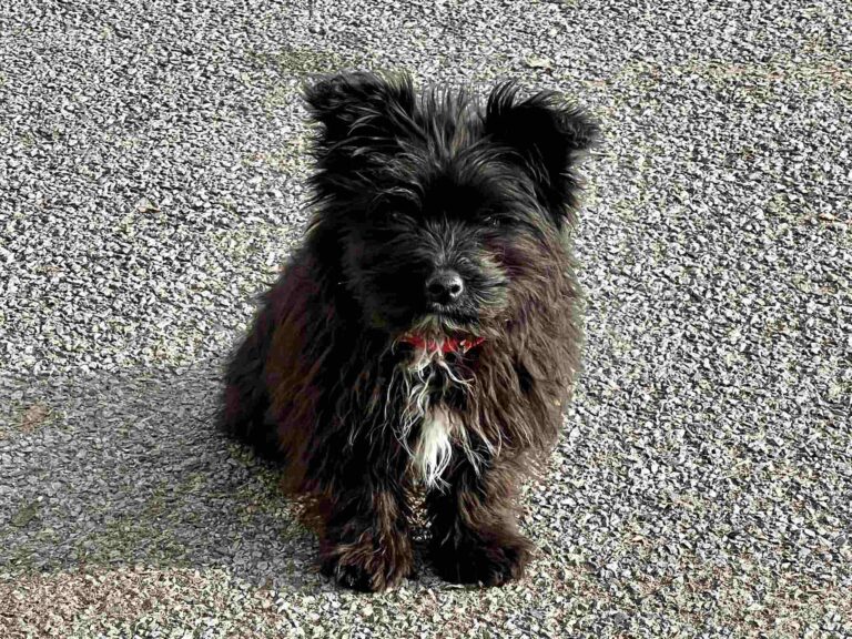 639111582_4207321556184314_5679396106849590231_n