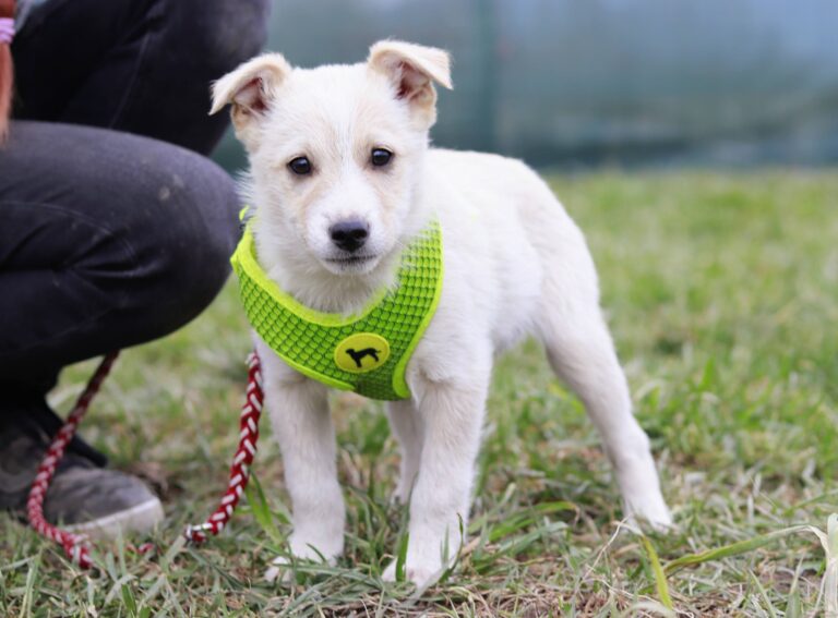 639960755_3405118426305547_1453377197561421954_n