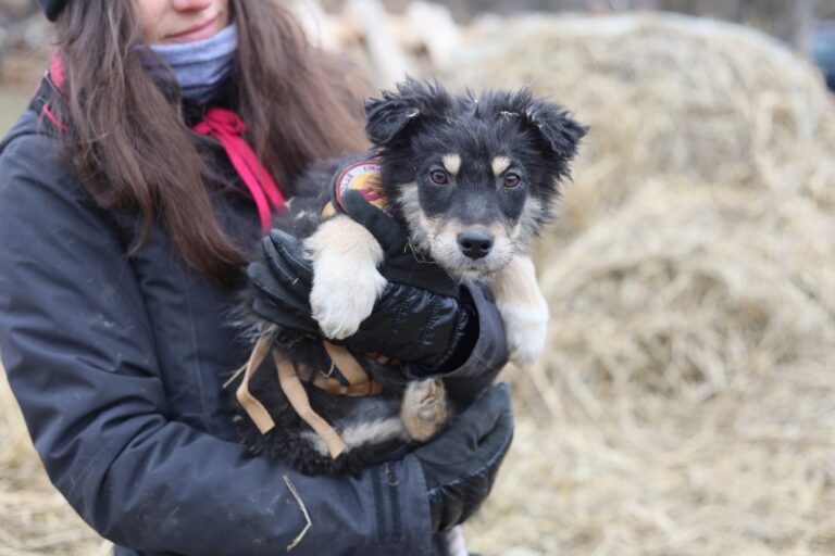 641319225_25932206289805114_6199455334831410184_n