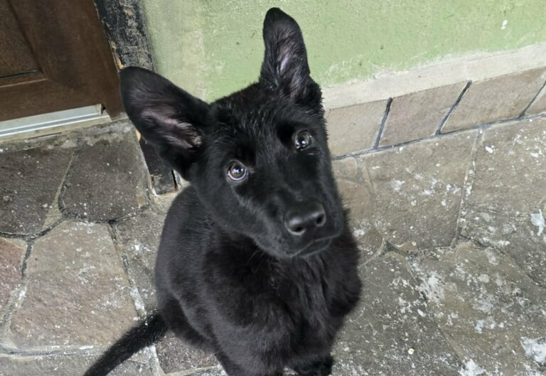 641330970_26860104573576518_8656825050159632043_n