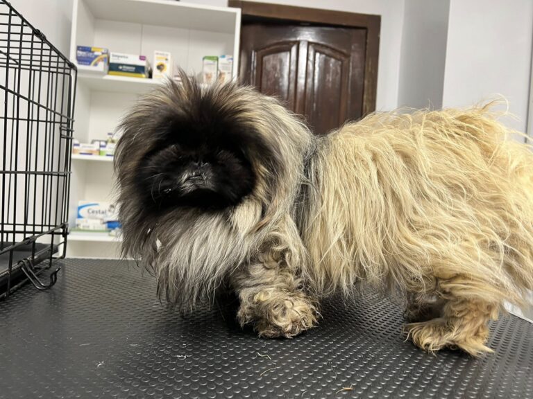 641355154_10161684557632581_646172216841434399_n