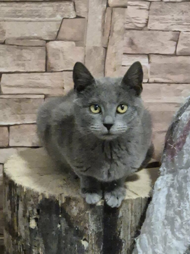 641372003_26441045008826758_1800785949745573775_n