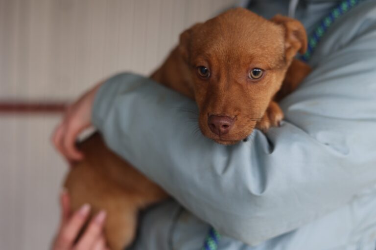 641629551_25932296473129429_586373340166631496_n