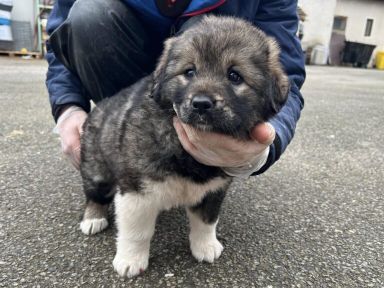 641662673_4214492858800517_597774237692192187_n