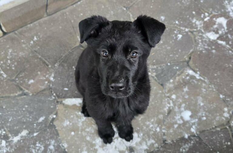 642345526_26860119060241736_89917733713806322_n