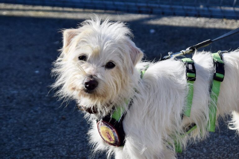 643423990_4215591302024006_3092478603443370344_n