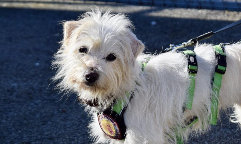 HAPPY – reserviert