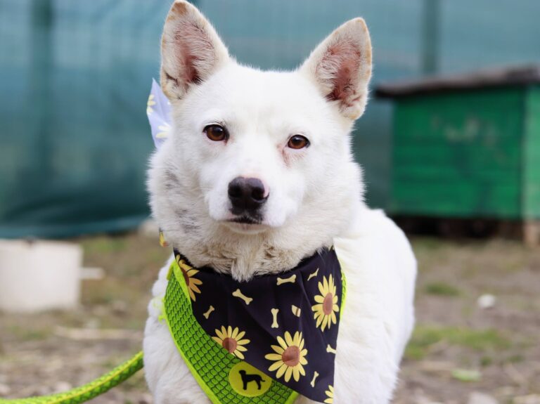 645526210_3415971968553526_3891947914464320587_n