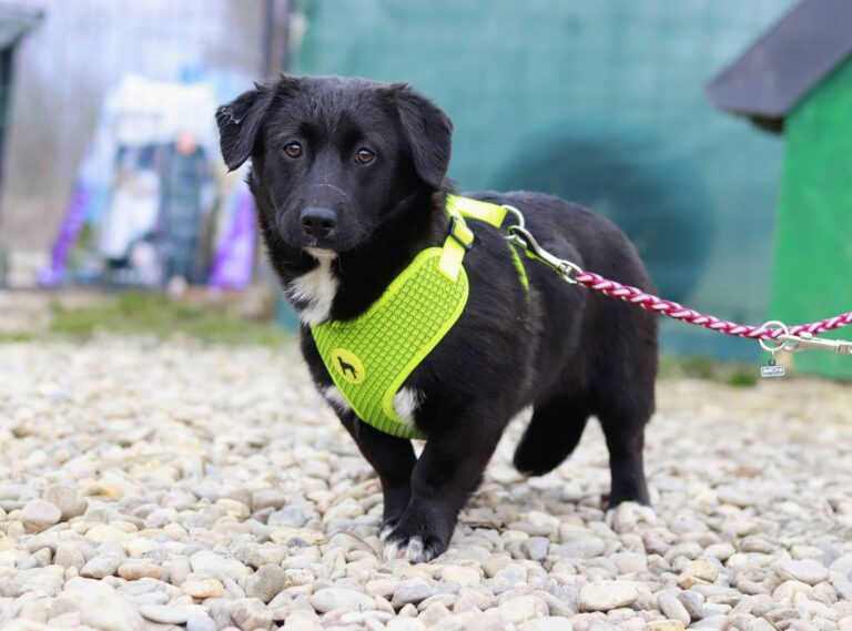 645691874_3415967358553987_6479843861614458137_n