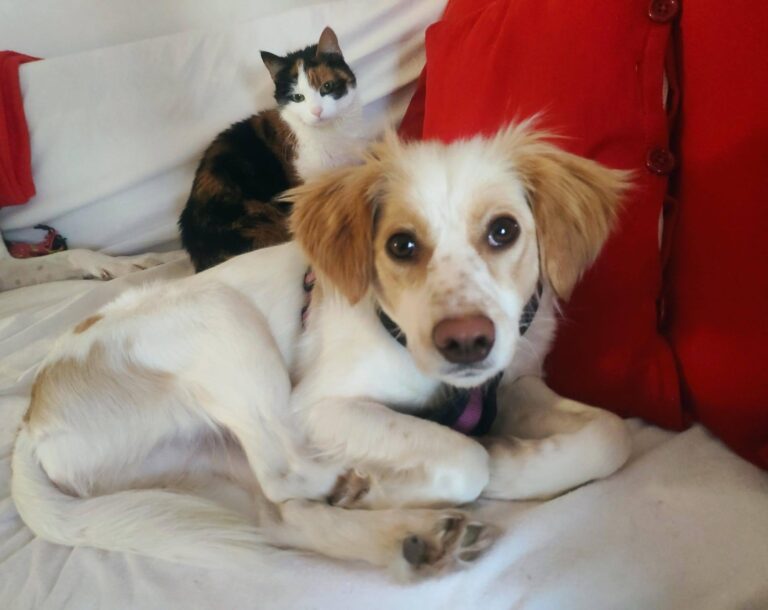 645736462_26153944004292237_4027686367231505882_n