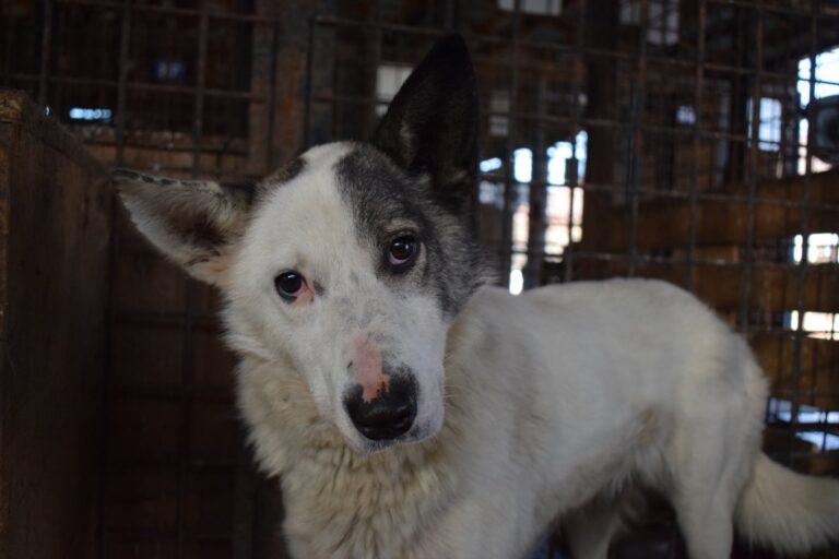 645941957_4219445891638547_7952895034090879913_n