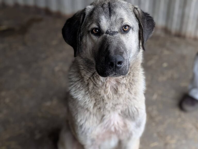 646071619_26173632928990011_8819698699357228081_n