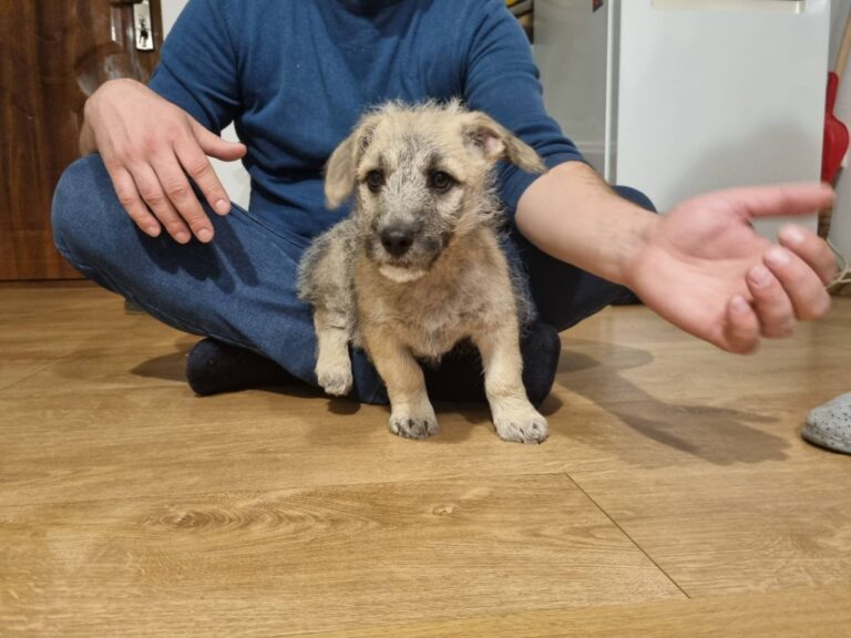 646085578_26004769902548752_5496610349049202165_n