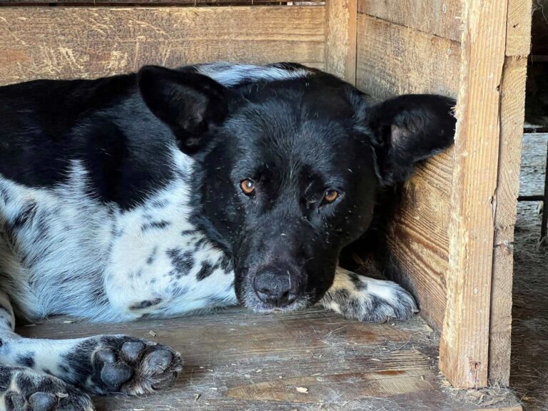 646146907_4220357234880746_6999689491510907280_n