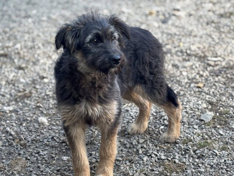 646543376_122232022532122691_6690520146414898019_n