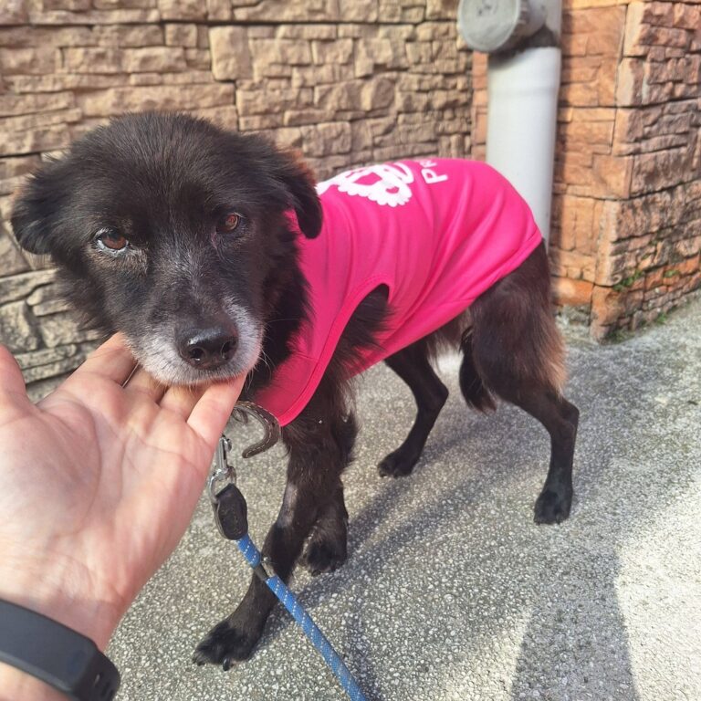 646790364_3130509577144818_7180496345709592994_n