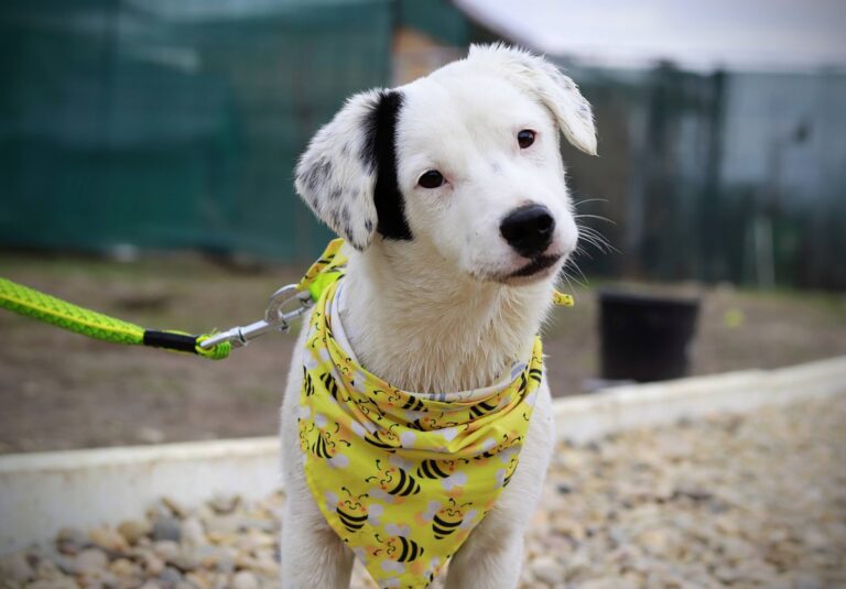 647033028_3415969228553800_6837009167185291097_n