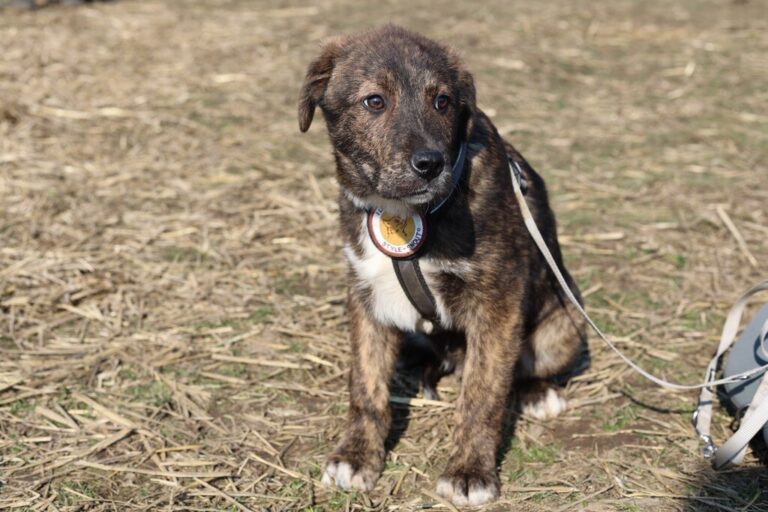 648228775_26032635506428858_8259516339960071384_n