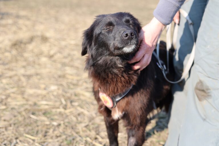 648387720_26033731422985933_5282707843655500699_n