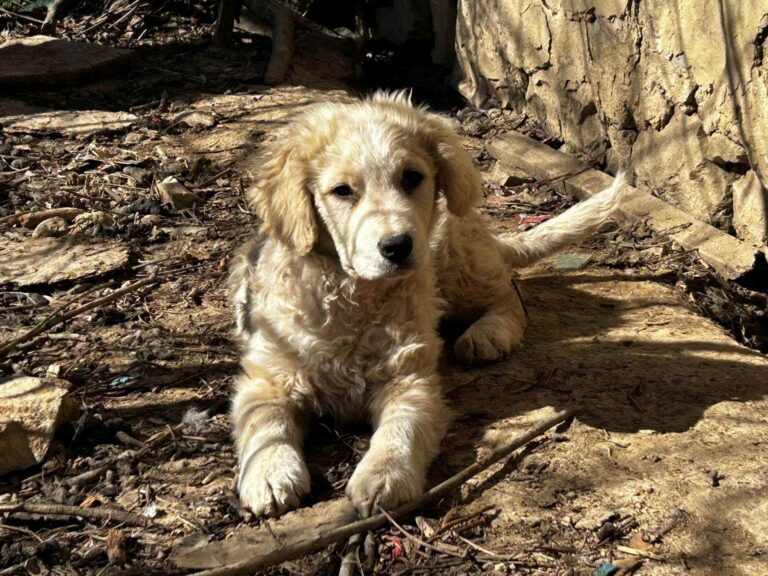 649112066_2129567334447678_2967575577103585196_n