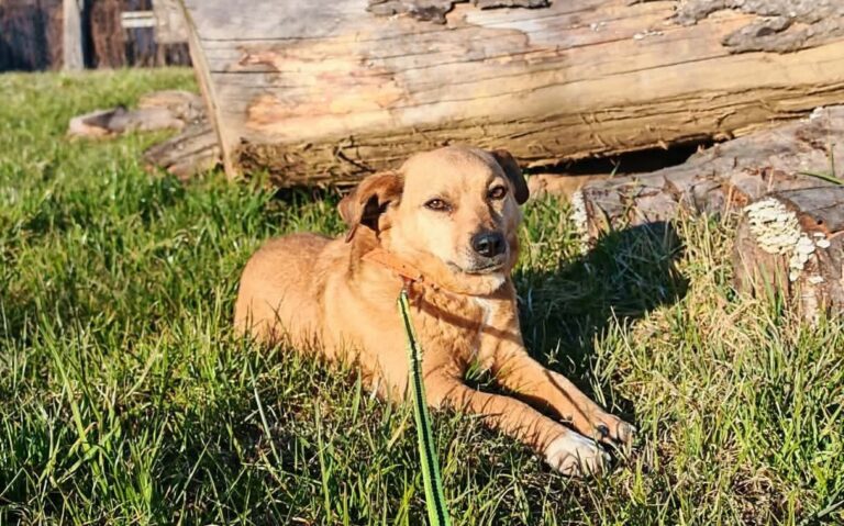 649240354_122163245150712445_4872288713061821668_n