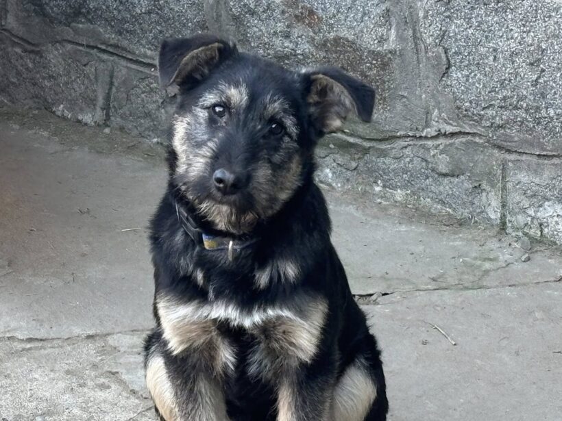 MISS MARPLE MISS MARPLE