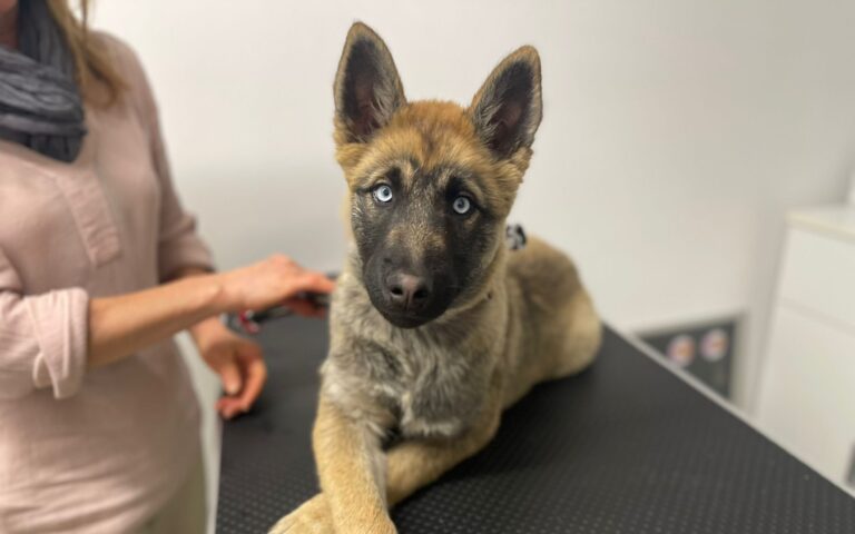 649693510_4225682707681532_1266148472506686805_n