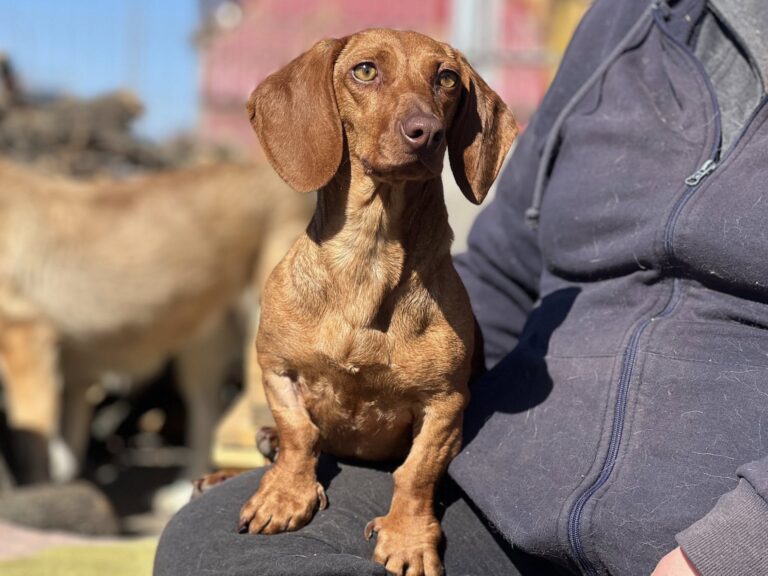 649850845_4226308447618958_2335964250397077295_n