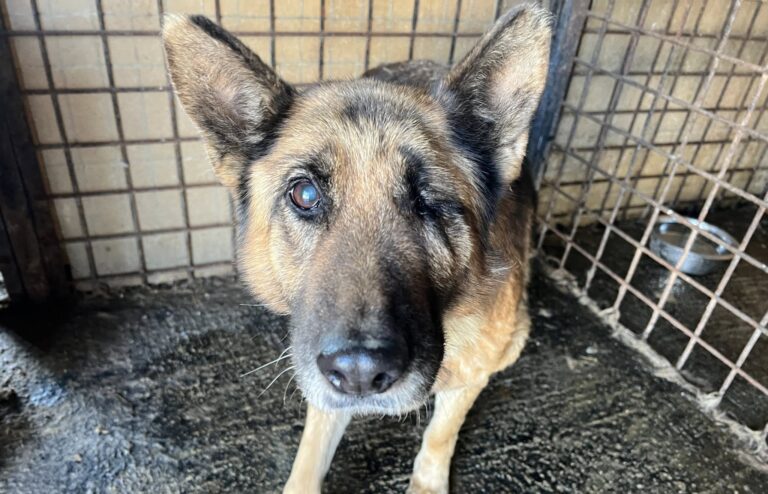 649852229_4225538444362625_9009655978114097733_n