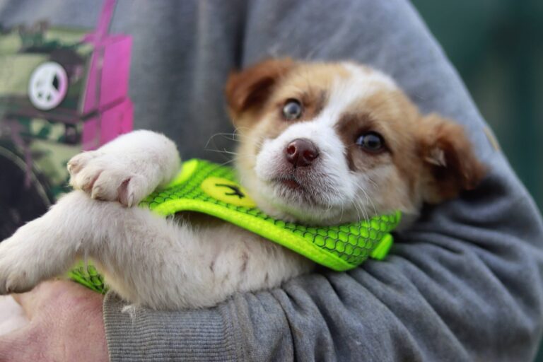 650287839_3421944467956276_8312104147857882379_n