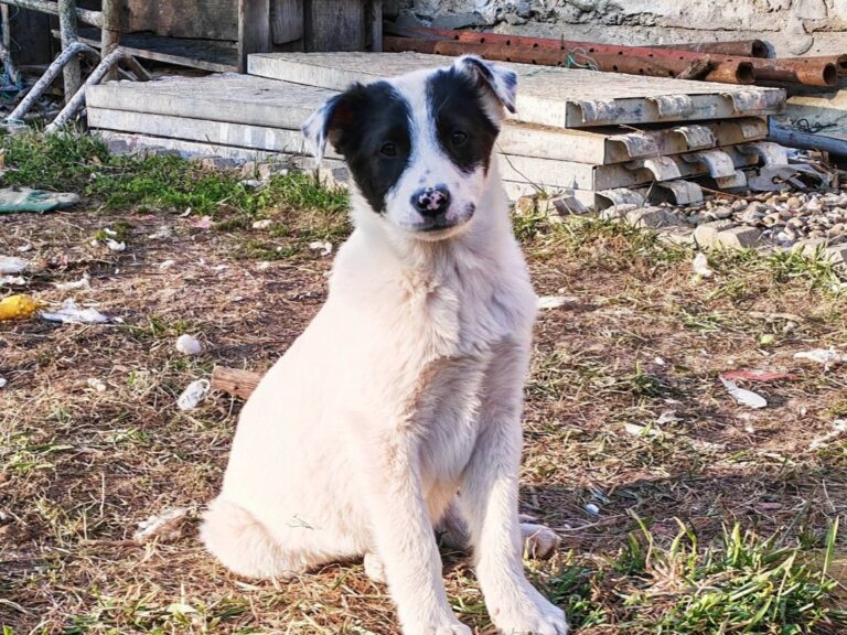 651042304_26271108952526675_3416940698644946682_n