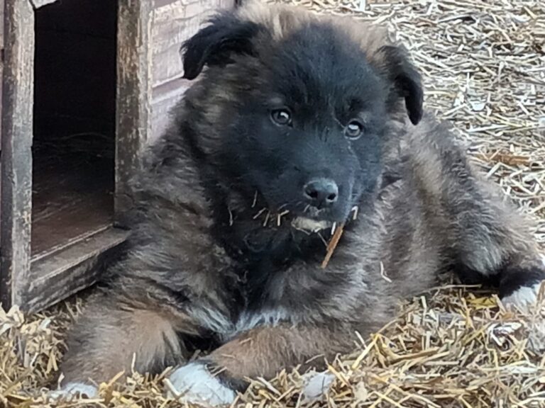 651733804_122232779456122691_6019707074027056279_n