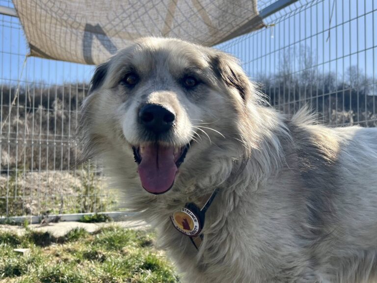 651787701_4228145307435272_9003141209665605058_n