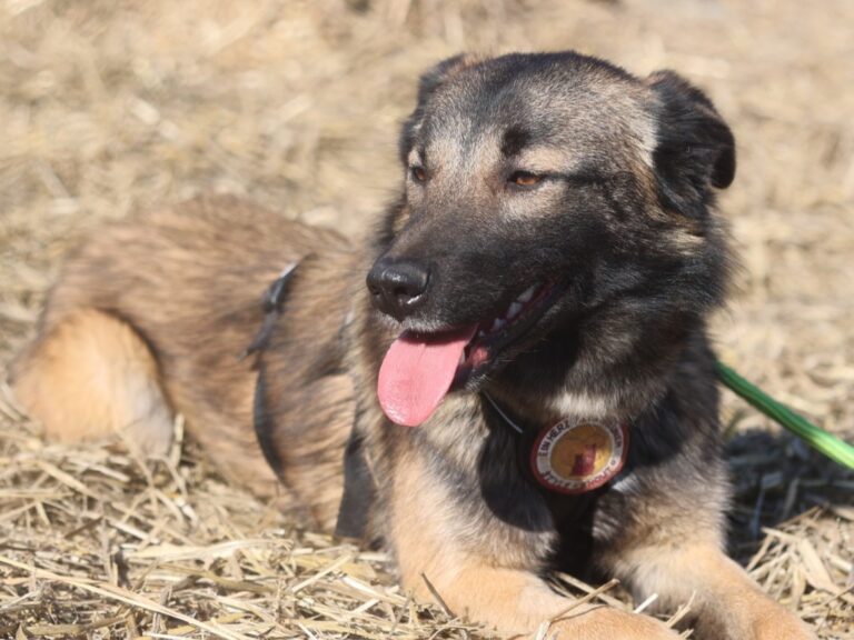 651877427_26108960698796338_121446132154103534_n