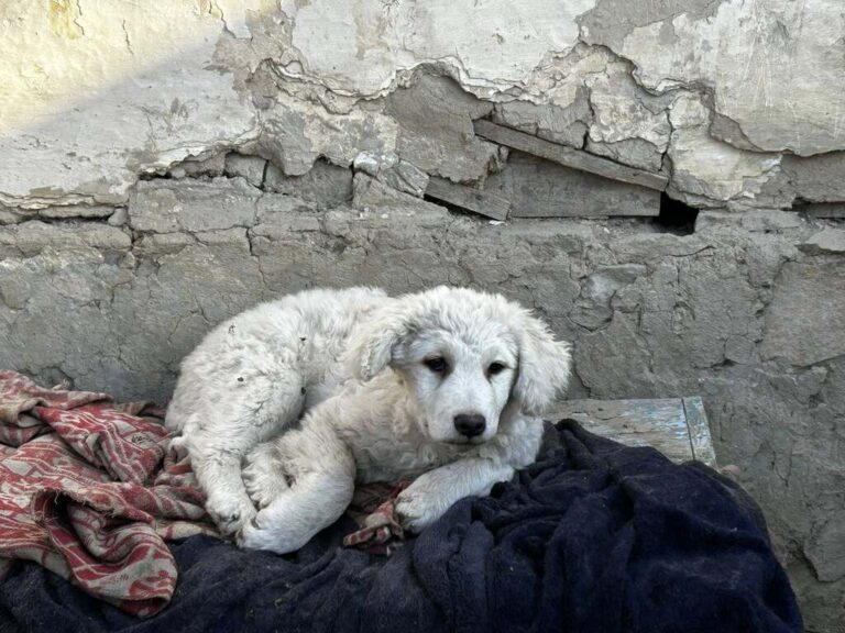 651925489_2134272113977200_5814694923034850226_n