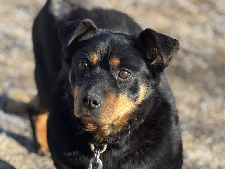 652079295_122232621470122691_574850355267053636_n