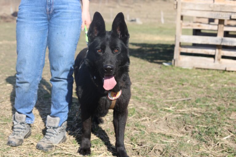 652091343_26108741595484915_3908982928561770732_n