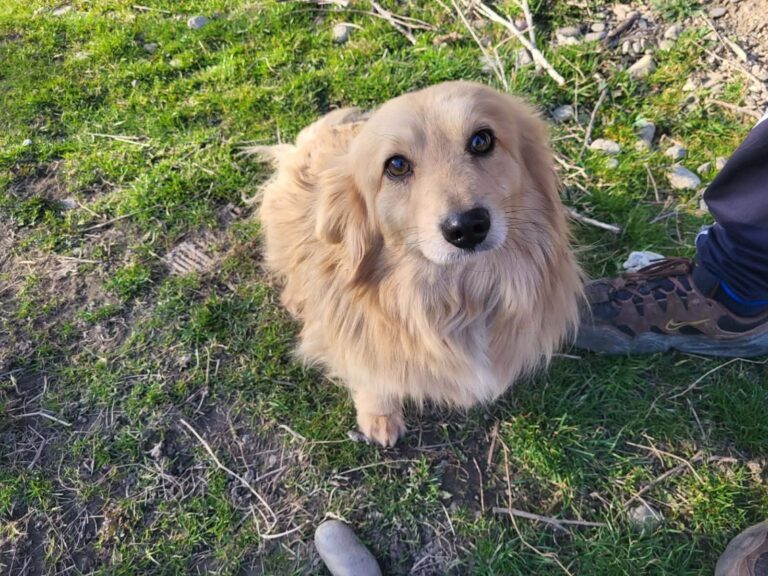 652342532_25338163945858981_7779735587449655181_n