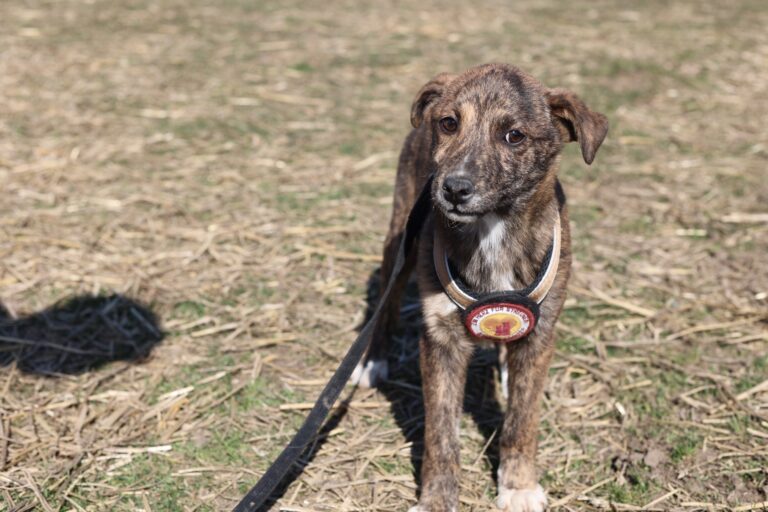 652780302_26108931952132546_7457867346442670242_n