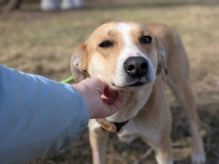 653676374_26294434050243231_603595630095033115_n