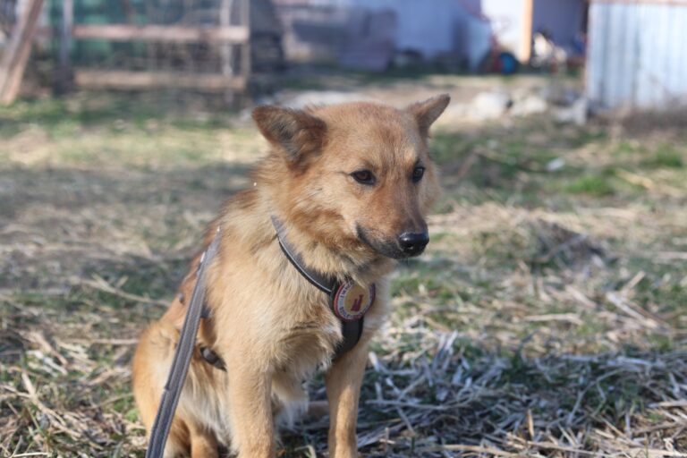 653702193_26134966162862458_1190047906591928525_n