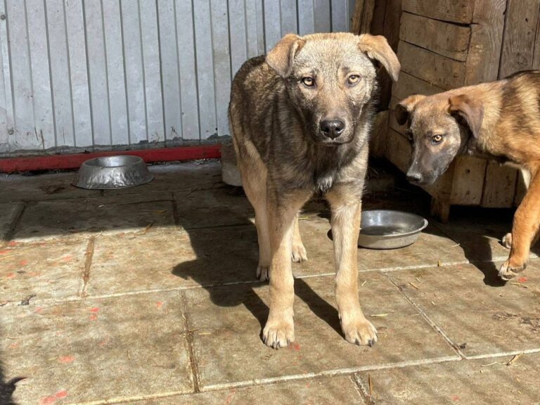 653704130_26320570897629546_6595656006079355225_n