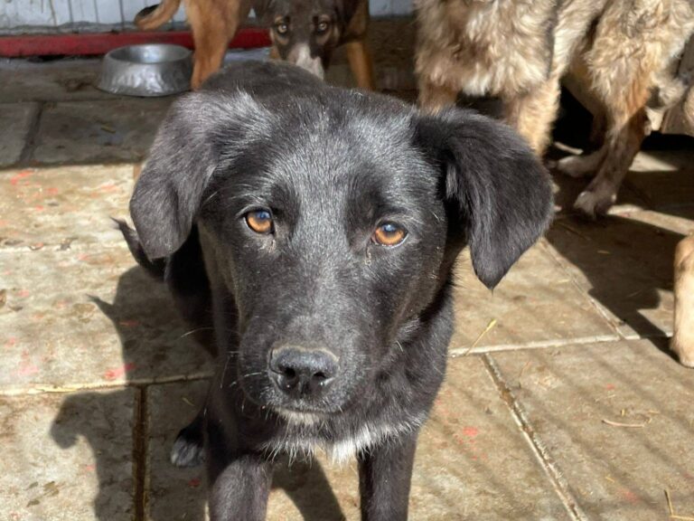 653704918_26320546424298660_3154002475531094472_n