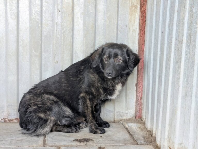 653707979_26331885149831454_8741717605868686026_n