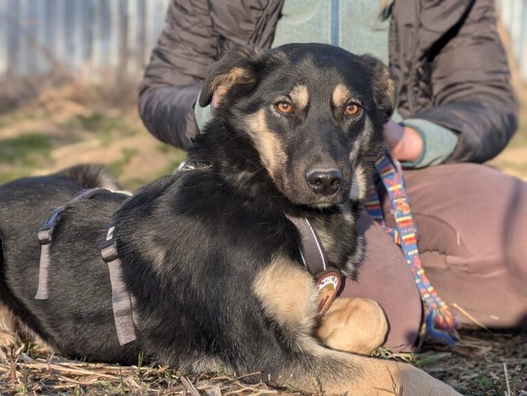 653712863_26321122500907719_6584180524729275799_n