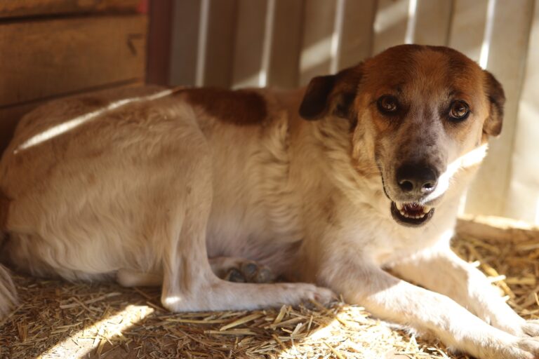 653714837_26153631130995961_5010002334684768031_n