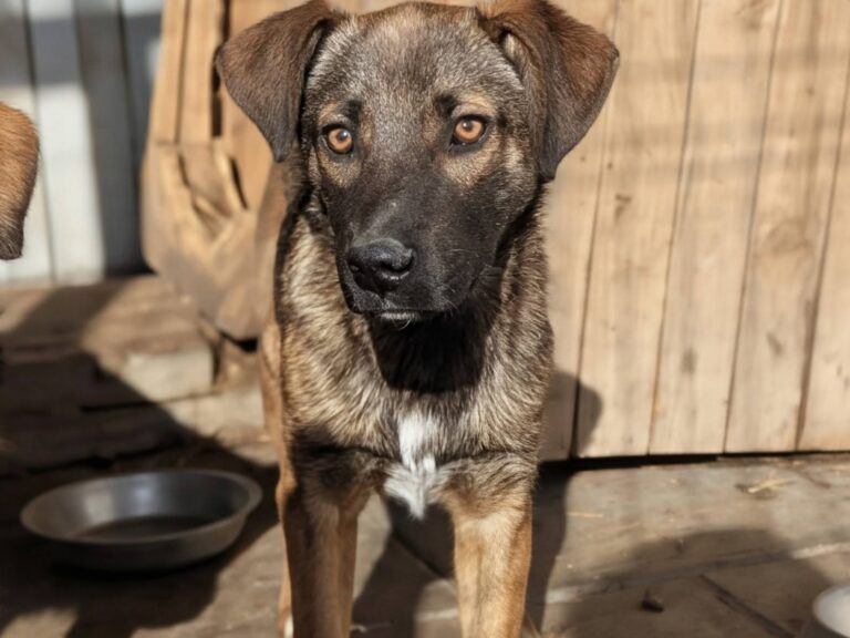 654730860_26320600457626590_6121001621120875876_n