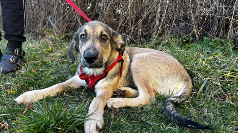 654840728_26135066482852426_1577734815302046664_n