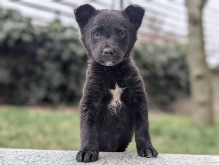 655569913_26355151854171450_4095463758642824155_n