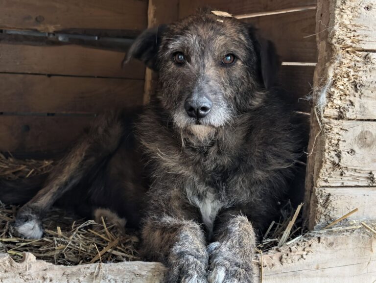 655602906_26331944043158898_3270187868908652796_n